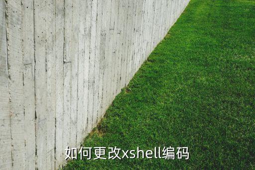 xshell设置编码，Linux系统之xshell怎样配置服务器信息-第2张图片-生活小妙招-易学网